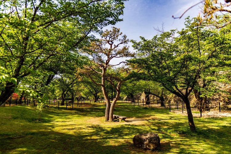 Komoro Joshi Kaikoen Park