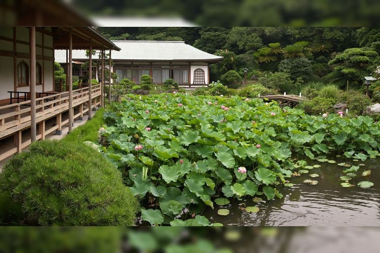 Komyoji (Kamakura) 2