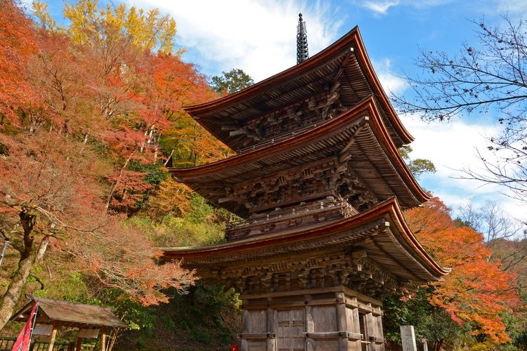金剛院 (Kongoin Temple) 3