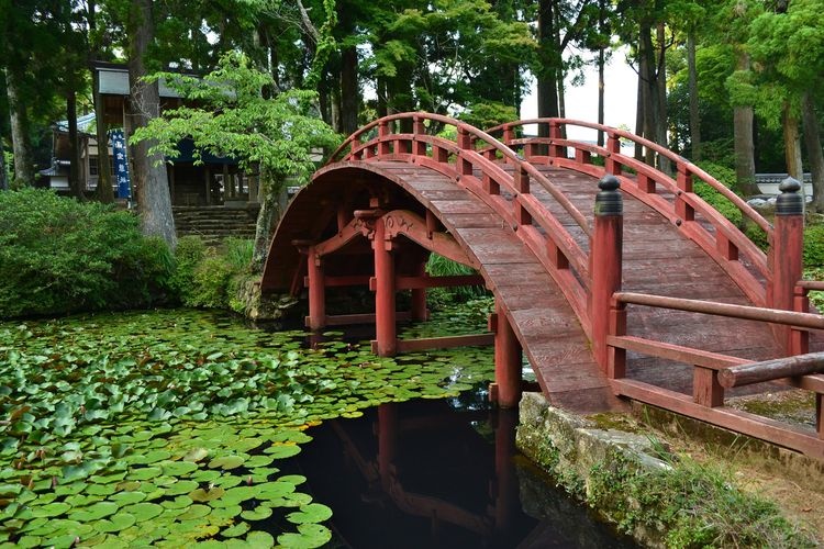 Kongoushouji 3
