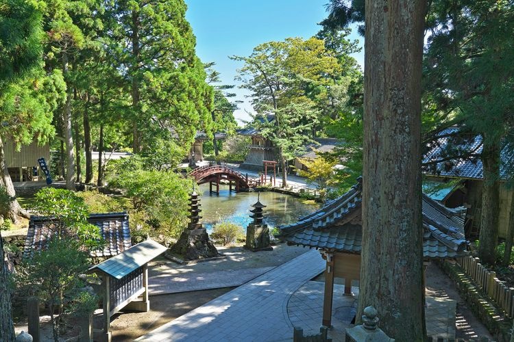 Kongoushouji 4