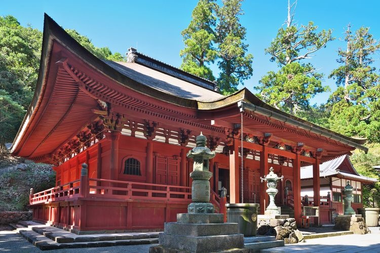 Kongoushouji 6