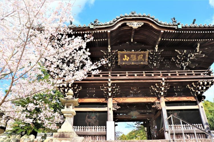 Kofuku-ji 3