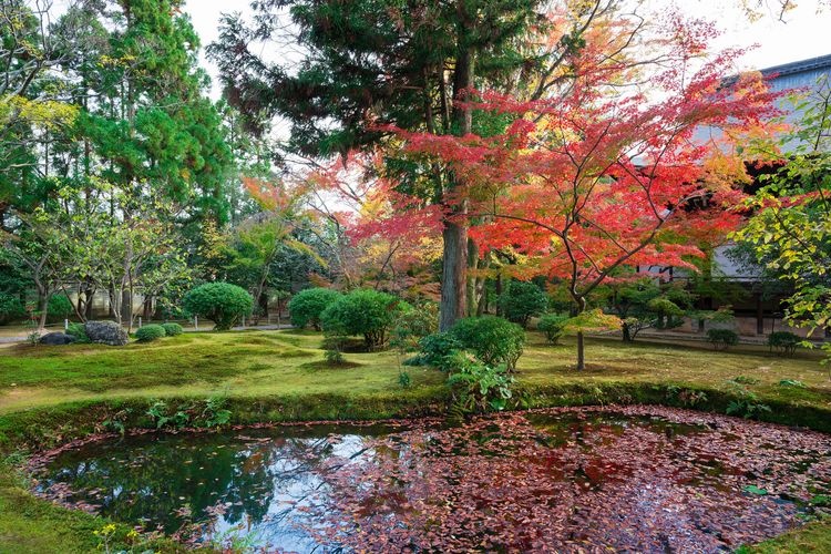 Chùa Koryuji