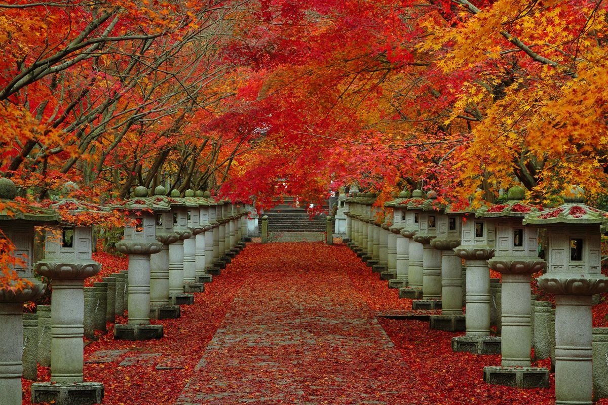 Kosanji Temple