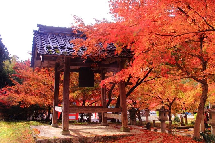 Kosanji Temple 2