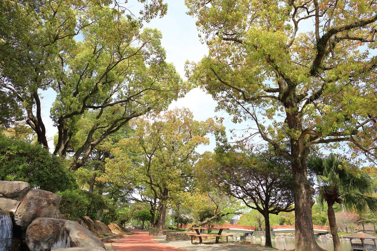 Parque Kamosari