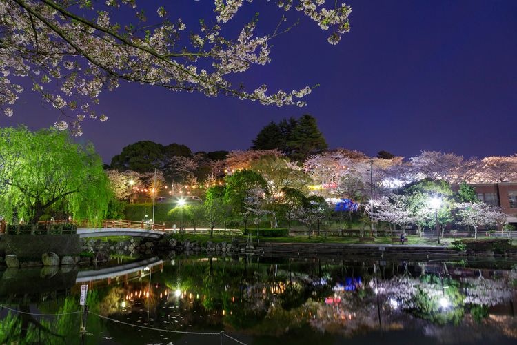 Parque Kamosari