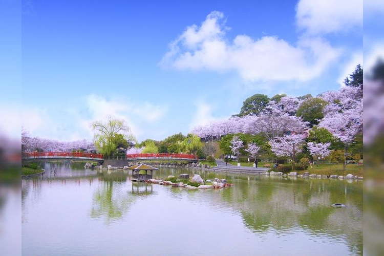 Parque Kamosari 2
