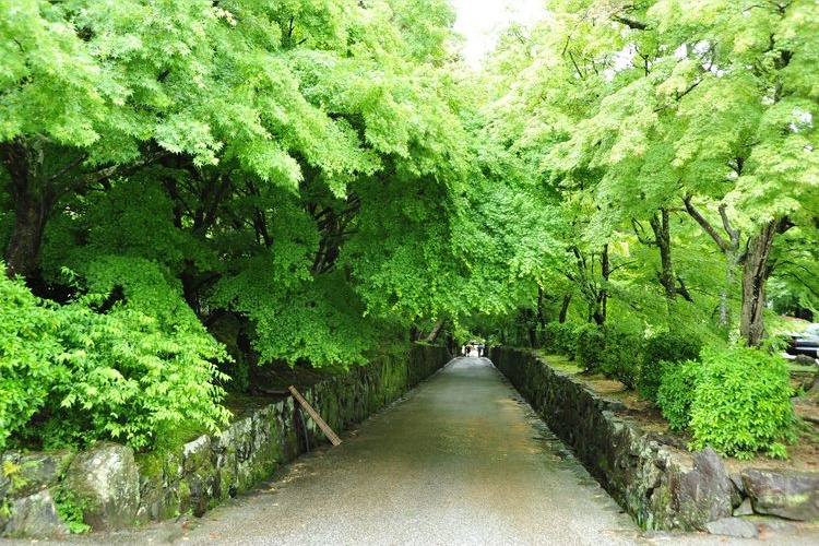 Kosho-ji 3