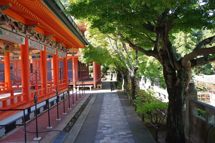 Kousanji Temple 3