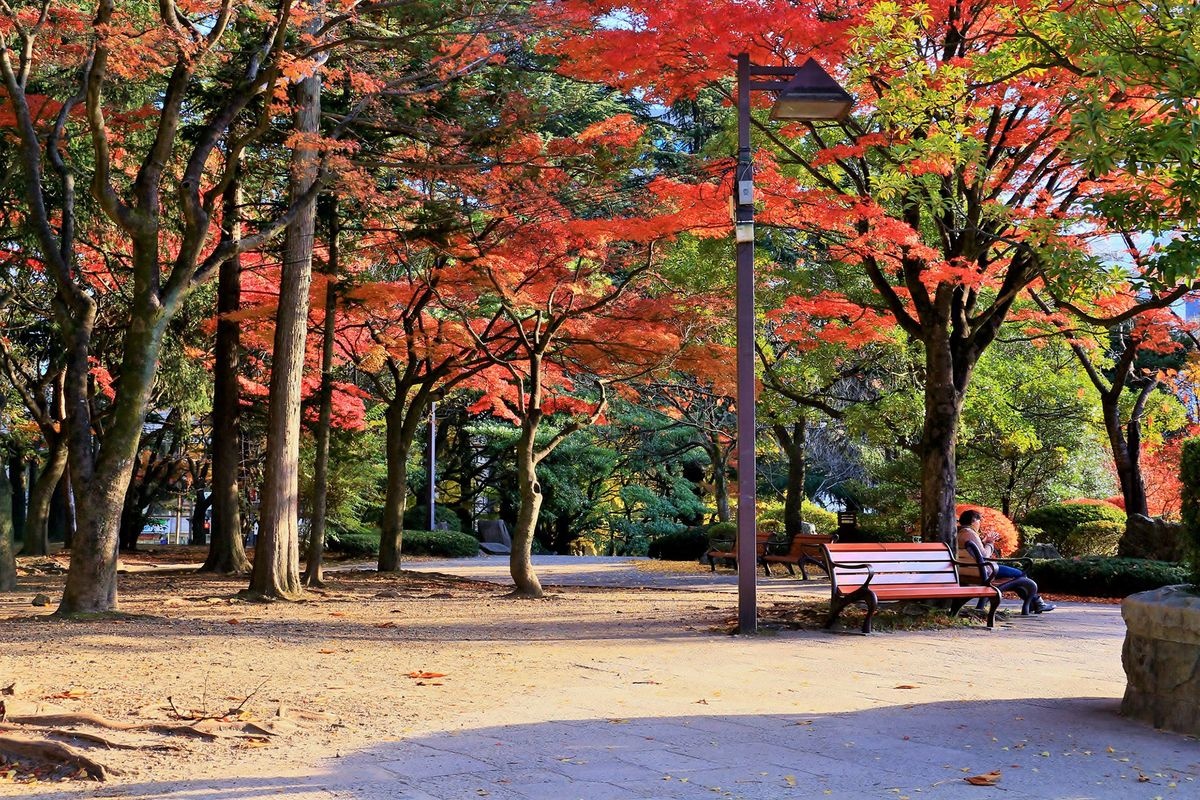 Kotodai Park