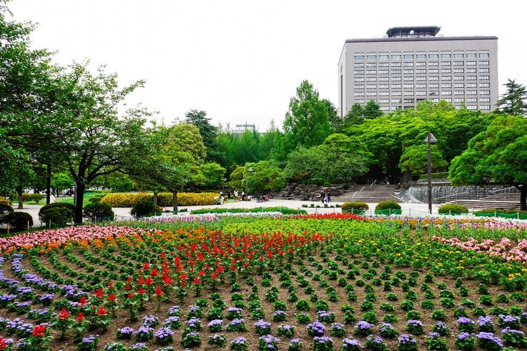 勾当台公园 4