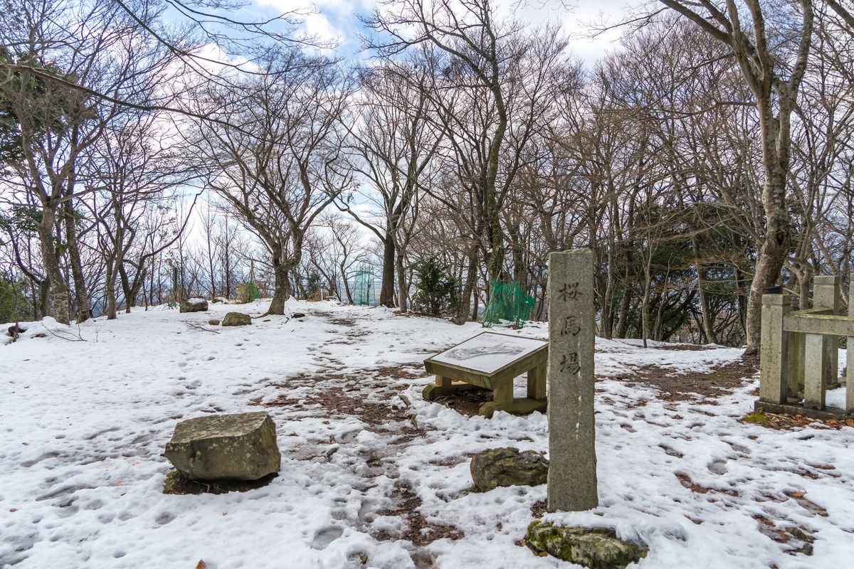 Ruines du château d'Otani