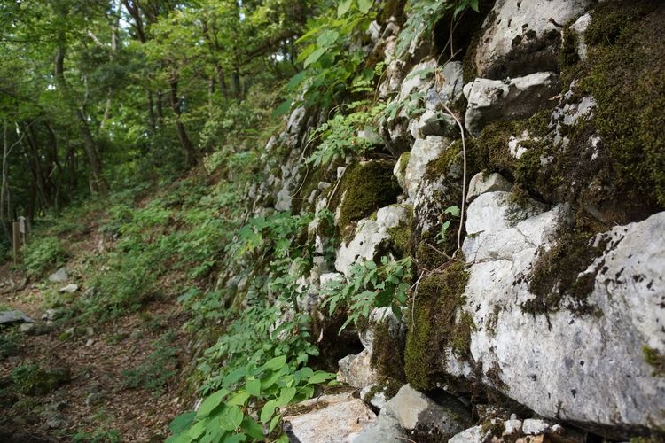 Ruinen der Burg Kotani 3