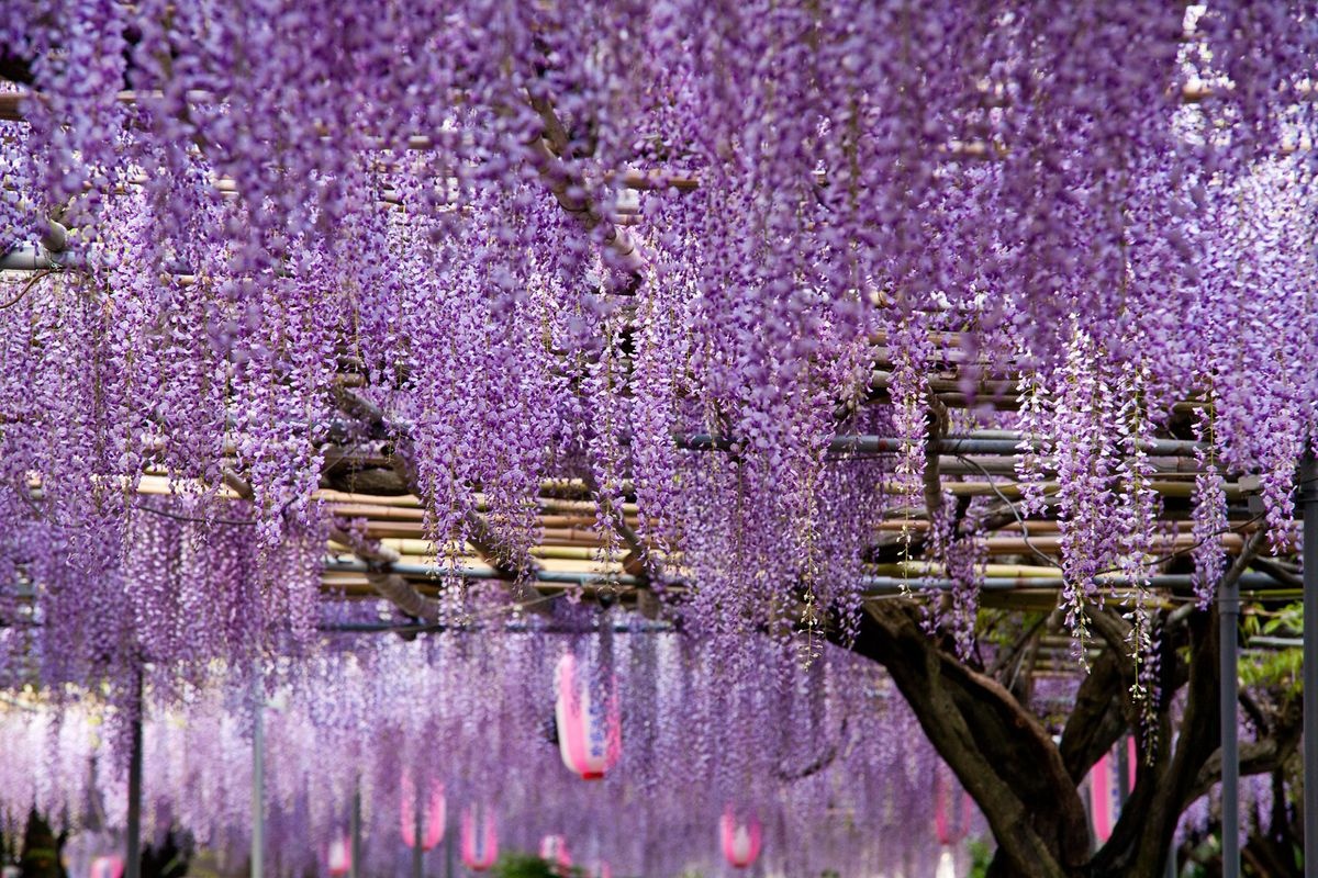 Hirotoen Garden