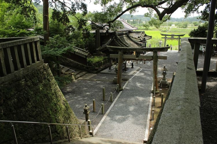 Kotonomama Hachiman-gu 4