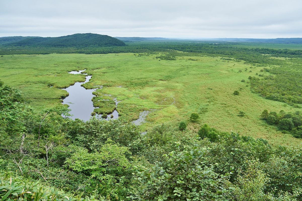 Kottaro Wetland Observatory