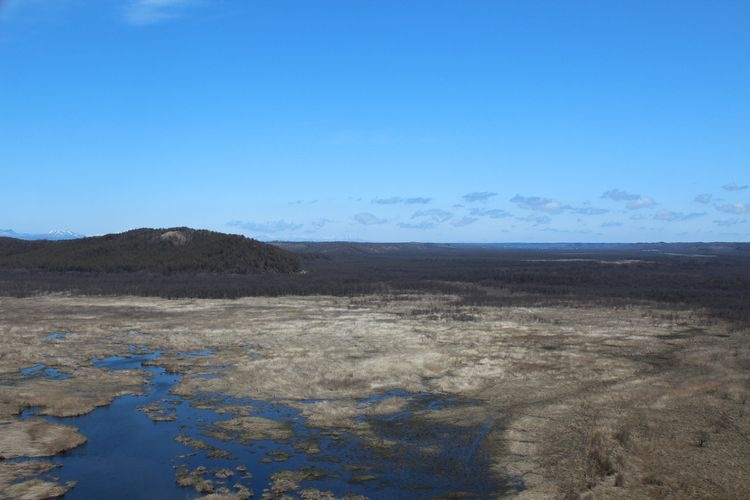 Kottaro Wetland Observatory