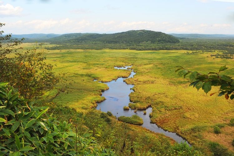 Kottaro Wetland Observatory 2