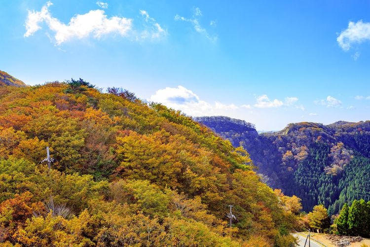 Koya Ryujin Skyline
