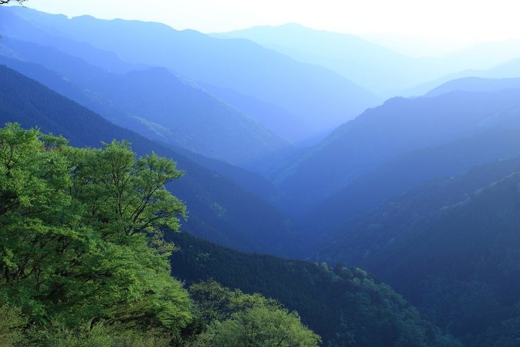 Koya Ryujin Skyline 2
