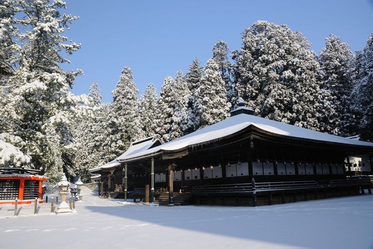 Koyasan Danjo Garan & Kongobu-ji Temple