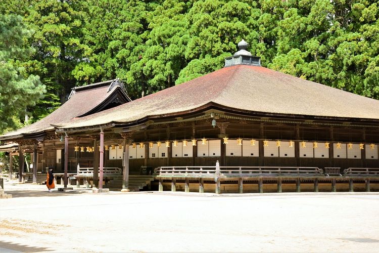 고야산 단죠가람·콘고부지 9