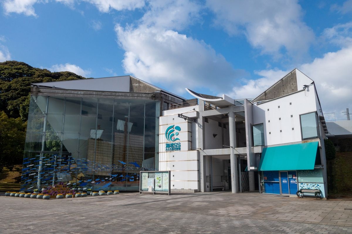 Acuática Kujukushima Sea Kirara