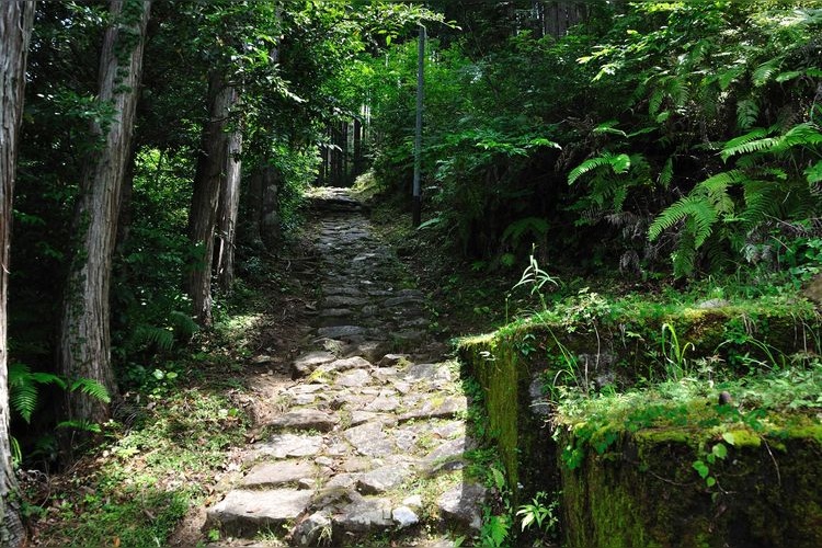 Kumano Kodo (Kohechi)