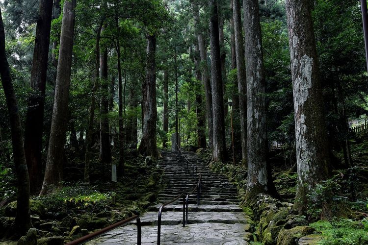 Kumano Nachi Taisha & Nachi no Taki 3