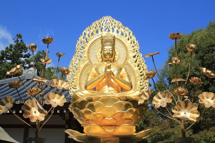 Kumedera