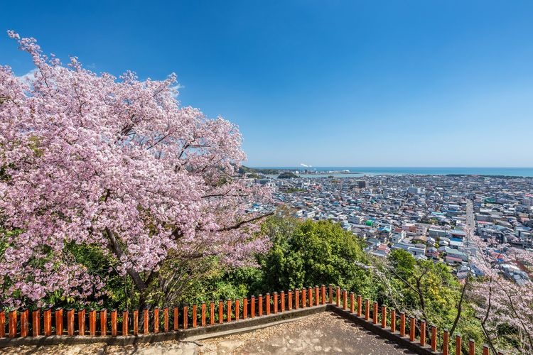 神倉神社