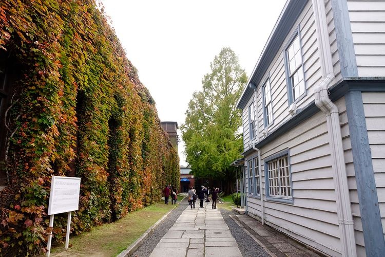 Kurashiki Ivy Square