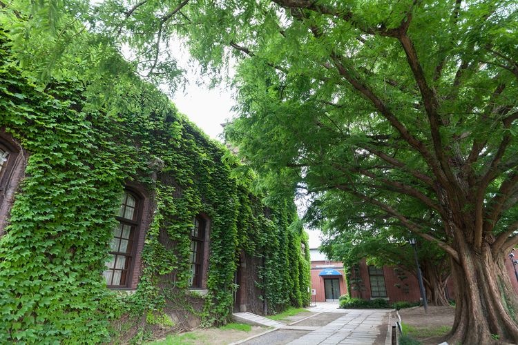Kurashiki Ivy Square 2