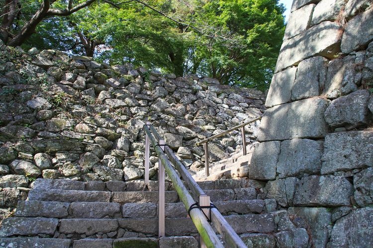 Ru dome Castle Ruins