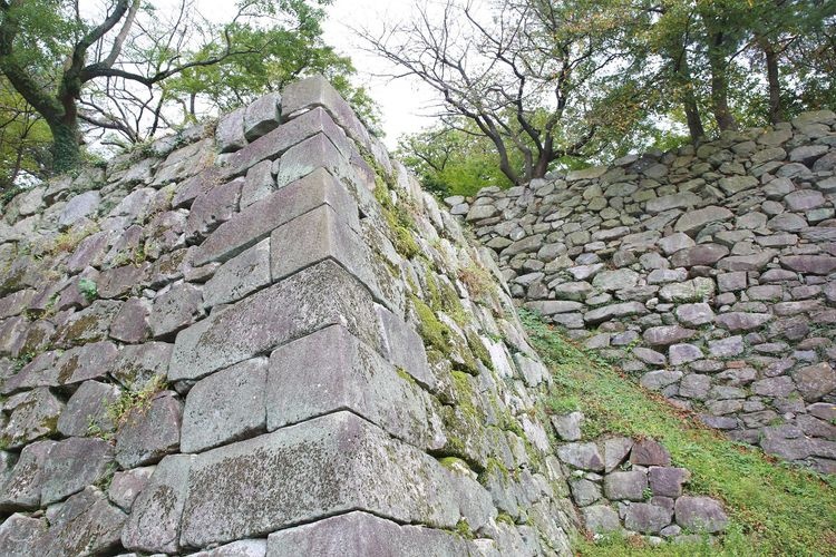 Ru dome Castle Ruins 2