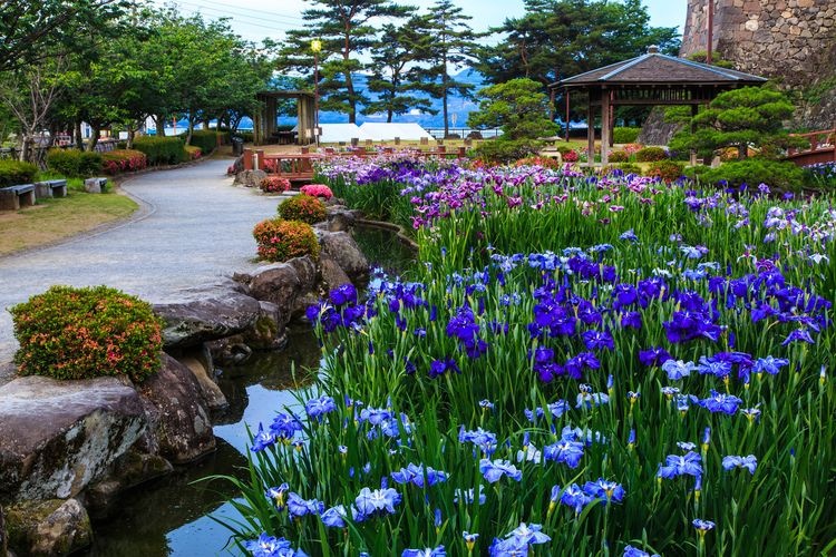 玖島城(大村公園)