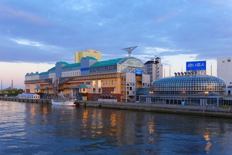 钏路渔夫码头MOO (Kushiro Fisher's Wharf MOO)