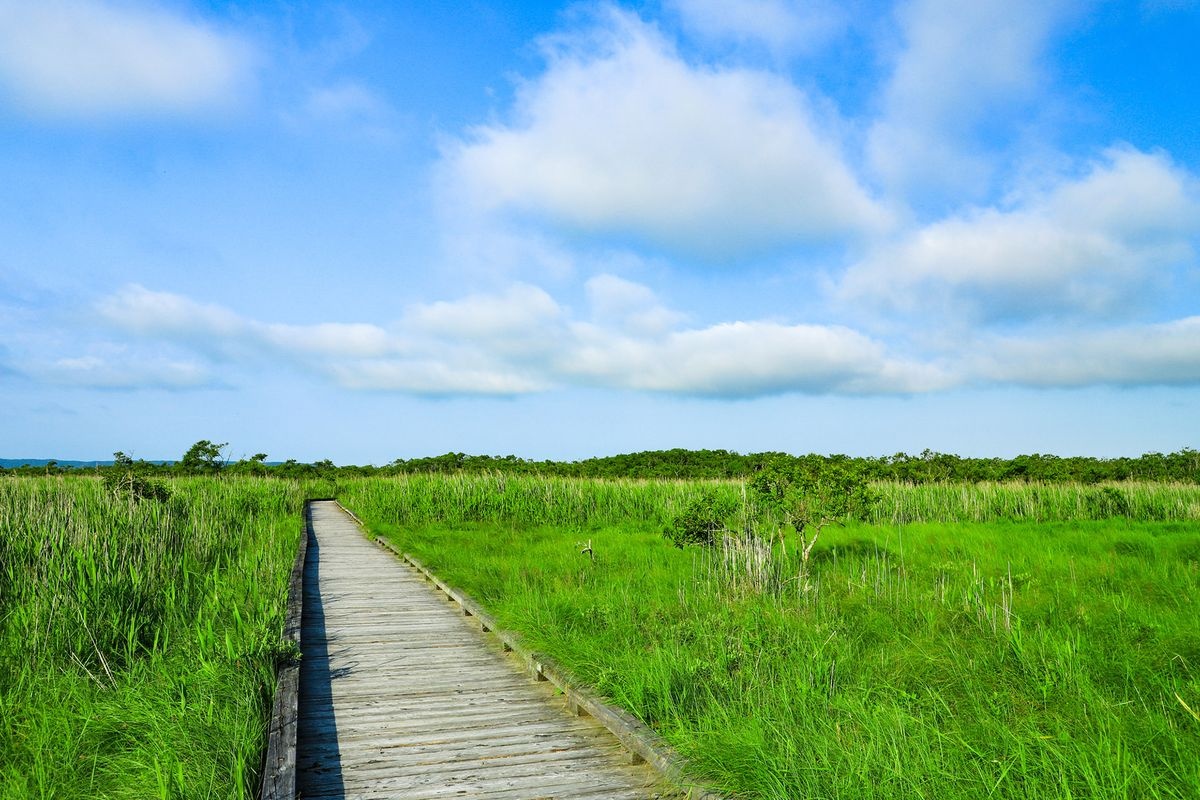 Kushiro Shitsugen (Onnetane Boardwalk)