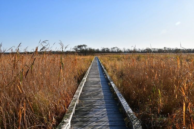 Kushiro Shitsugen (Onnetane Boardwalk)
