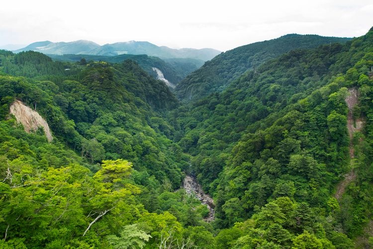 Kyusui Valley