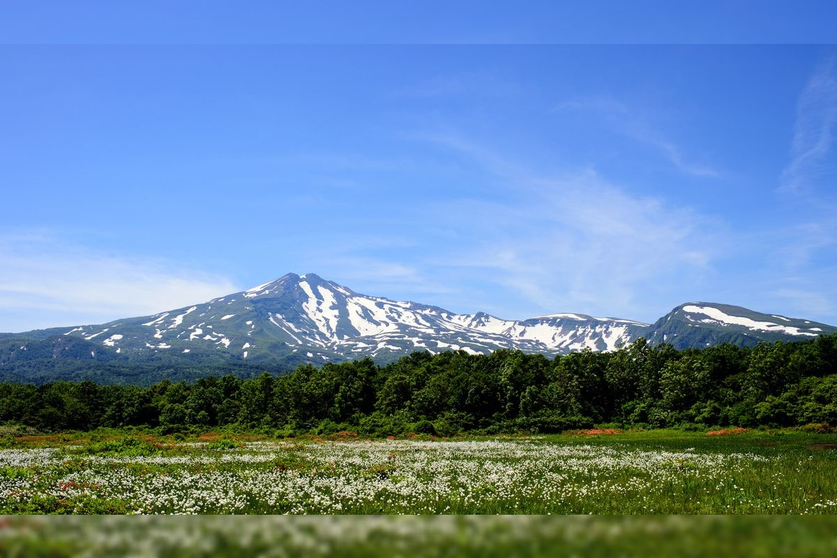 桑之木台湿原
