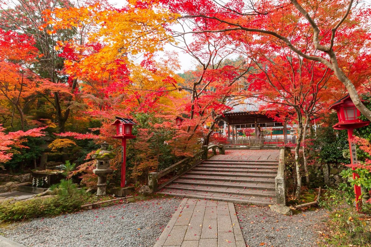 Kuwayama Jinja