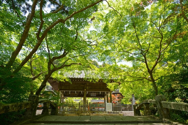 Kuwayama Jinja 2