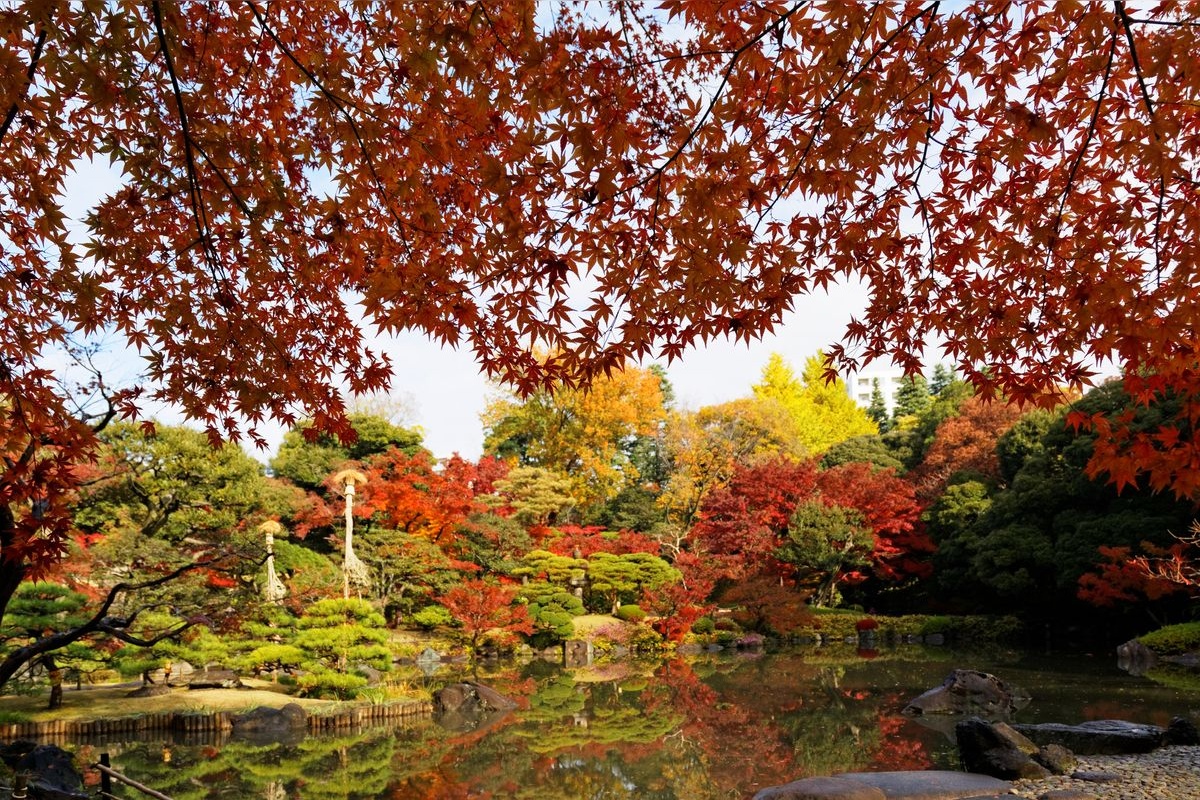 Kyū-Furukawa Gardens