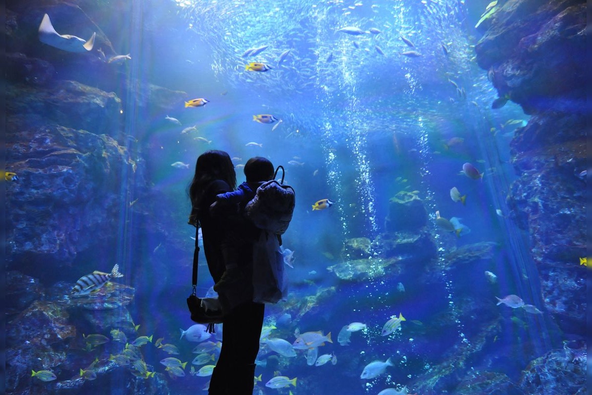 교토 수족관 (Kyoto Aquarium)
