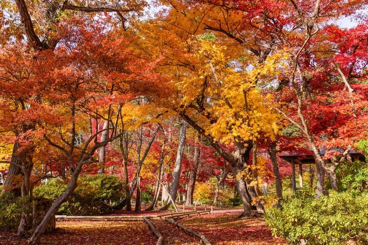 旧池田氏庭園 3