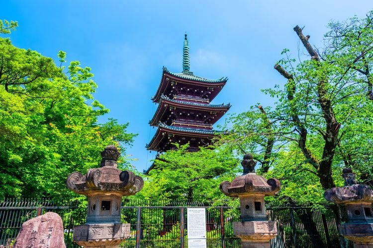 Antigua Pagoda de Kan'ei-ji (Kyū Kan'ei-ji Gojūnotō)