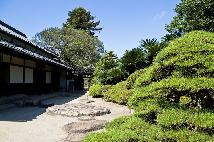 旧野崎家住宅 3